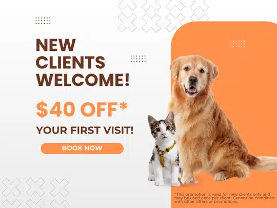 40 off NCP Graphics 40 off NCP Graphics